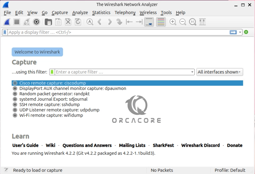 Access Wireshark Network Protocol Analyzer on Ubuntu 24.04